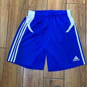 Adidas climacool three stripe shorts